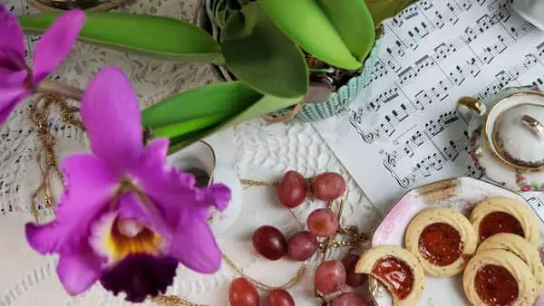13 señales infalibles que indican que tu orquídea está sana
