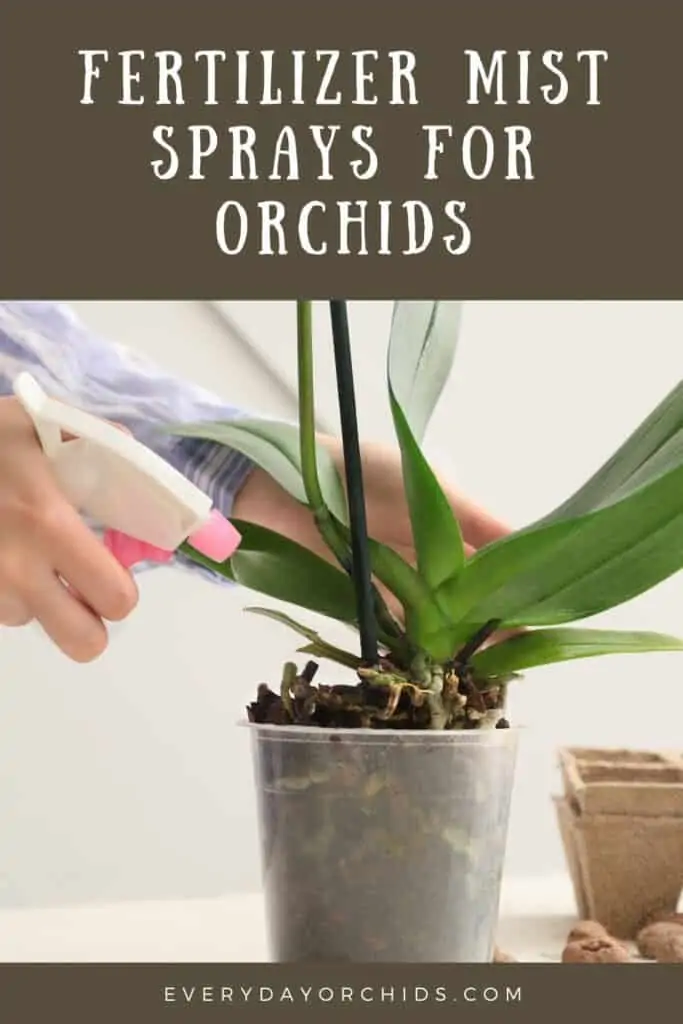Cómo alimentar a su orquídea con un aerosol de niebla fertilizante