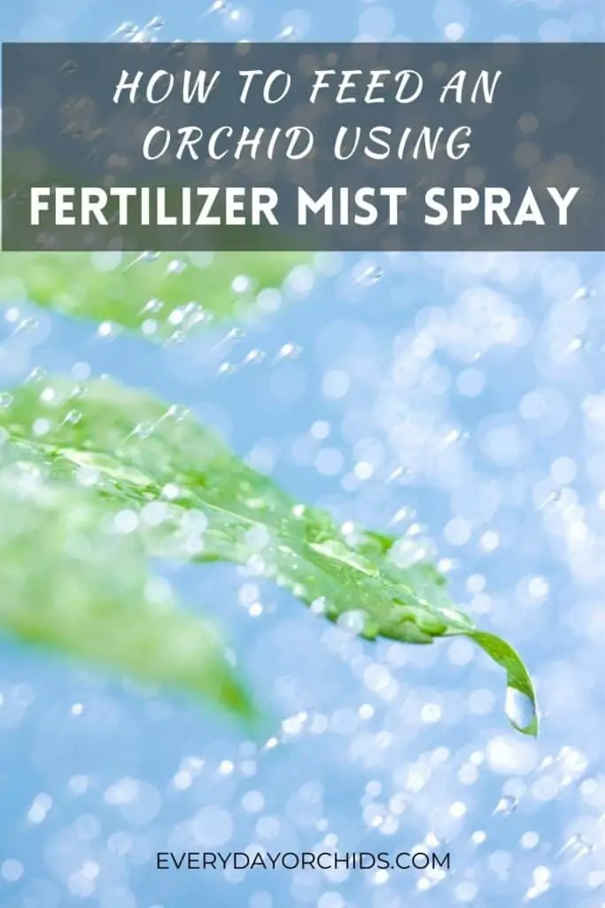 Cómo alimentar a su orquídea con un aerosol de niebla fertilizante